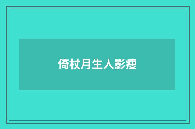 倚杖月生人影瘦