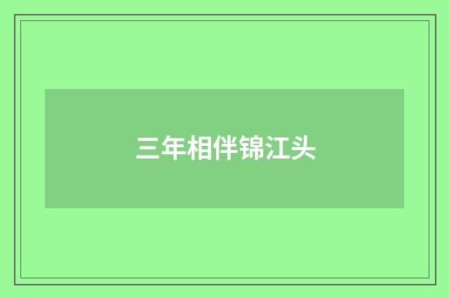 三年相伴锦江头