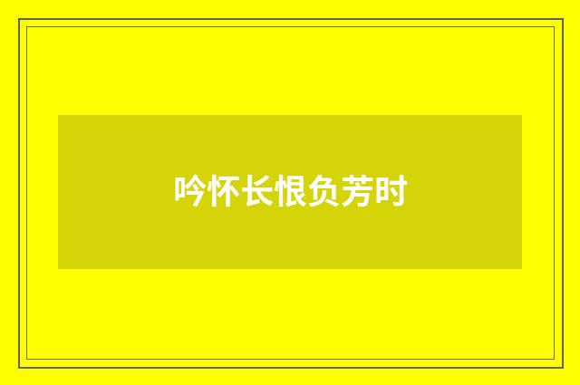 吟怀长恨负芳时