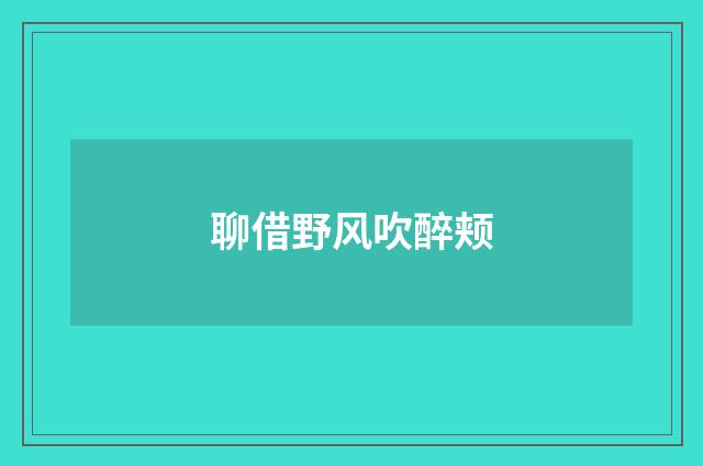 聊借野风吹醉颊