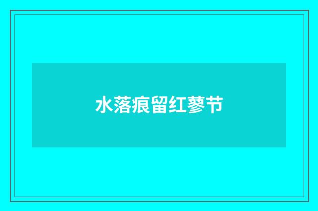 水落痕留红蓼节