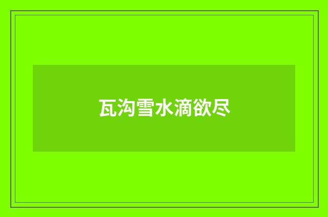 瓦沟雪水滴欲尽