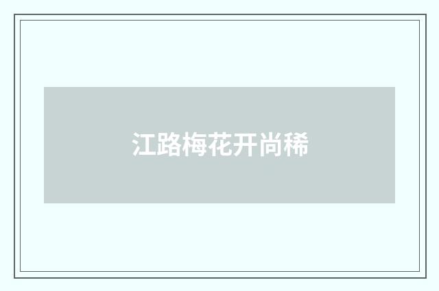 江路梅花开尚稀