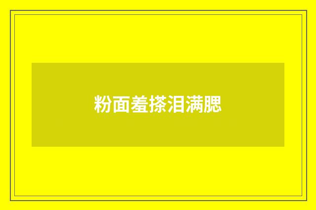 粉面羞搽泪满腮