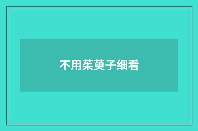 不用茱萸子细看
