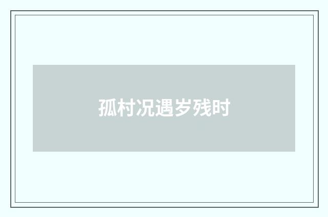 孤村况遇岁残时