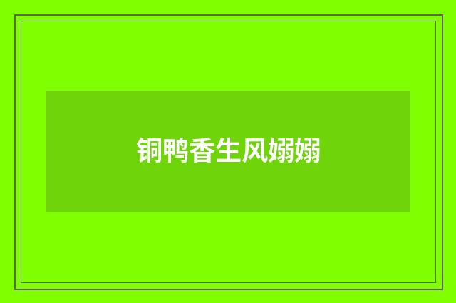 铜鸭香生风嫋嫋
