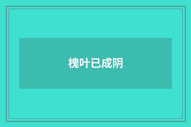 槐叶已成阴