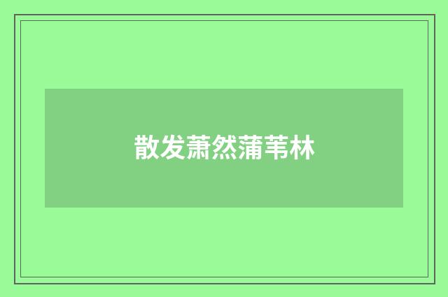 散发萧然蒲苇林