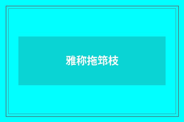 雅称拖筇枝