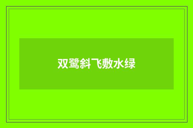 双鹭斜飞敷水绿