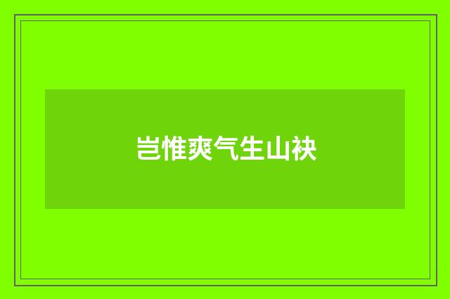 岂惟爽气生山袂