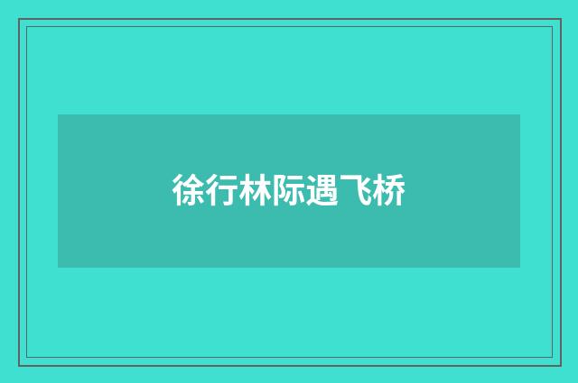 徐行林际遇飞桥