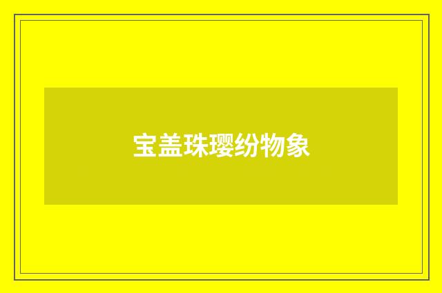 宝盖珠璎纷物象