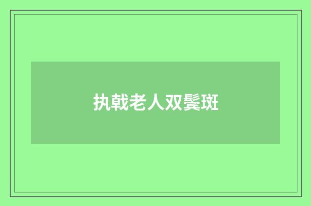 执戟老人双鬓斑