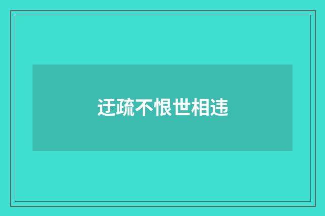 迂疏不恨世相违