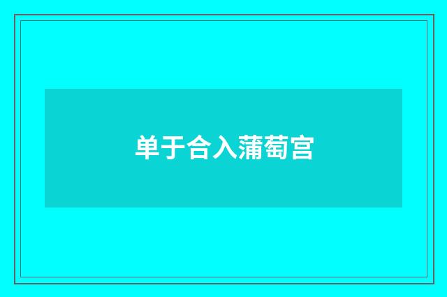 单于合入蒲萄宫