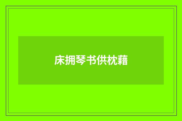 床拥琴书供枕藉