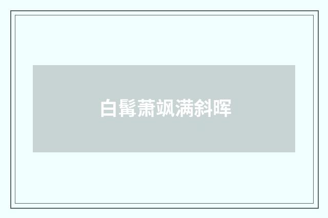 白髯萧飒满斜晖