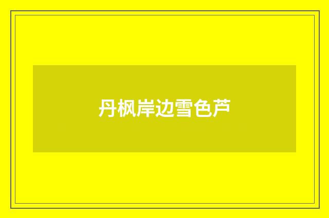 丹枫岸边雪色芦