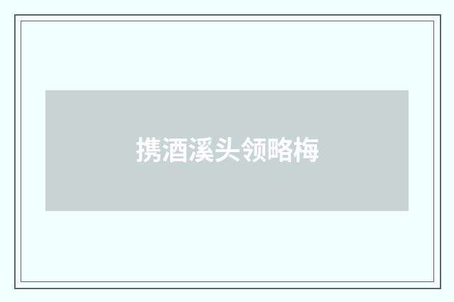 携酒溪头领略梅