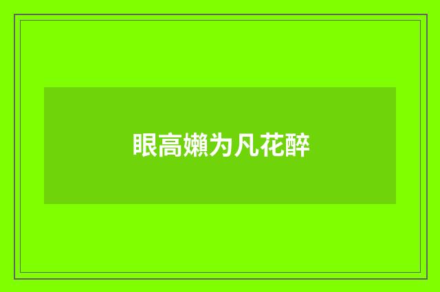 眼高嬾为凡花醉