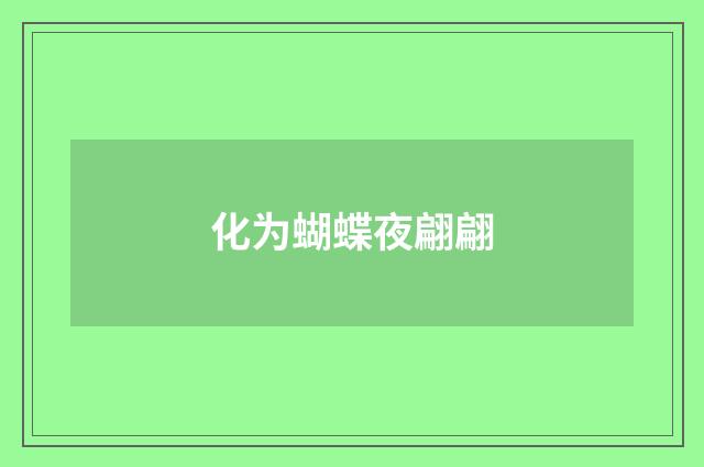 化为蝴蝶夜翩翩