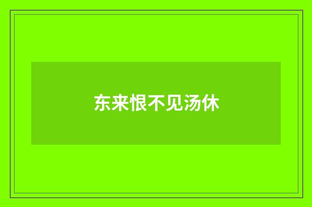 东来恨不见汤休