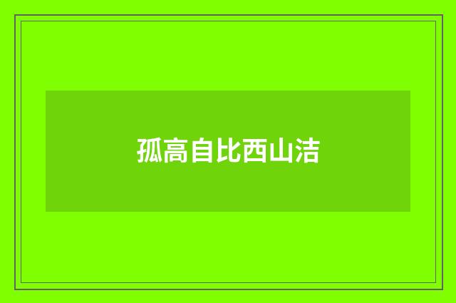 孤高自比西山洁