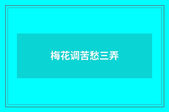梅花调苦愁三弄