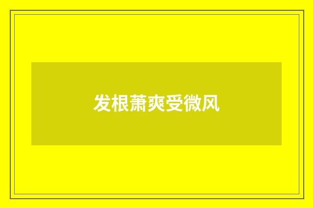 发根萧爽受微风