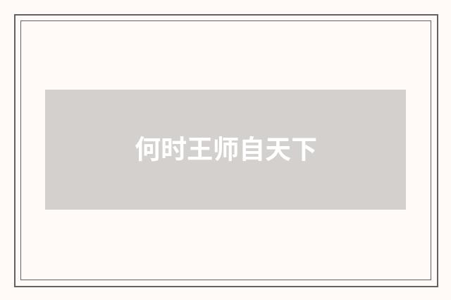 何时王师自天下