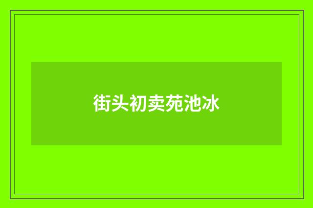 街头初卖苑池冰