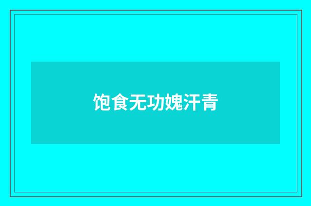 饱食无功媿汗青