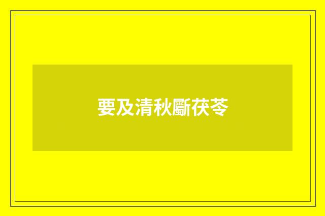 要及清秋斸茯苓