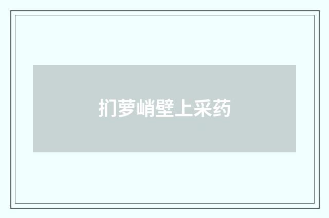 扪萝峭壁上采药