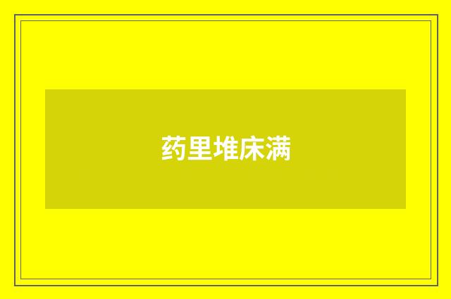 药里堆床满