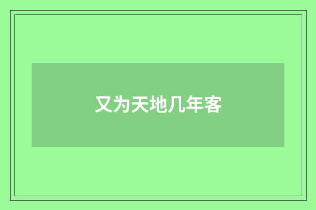 又为天地几年客
