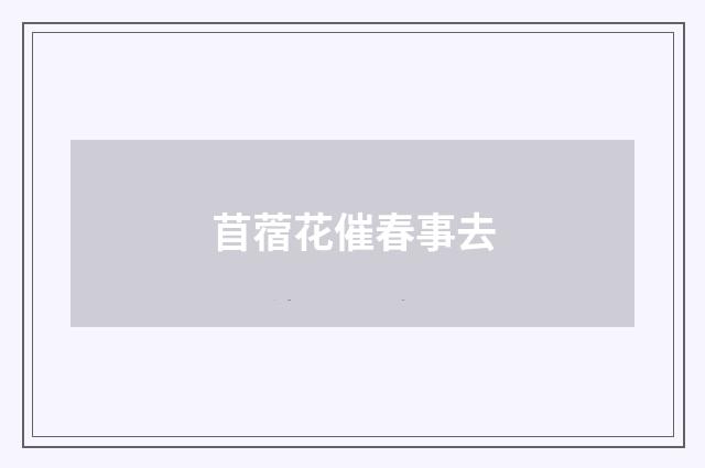 苜蓿花催春事去