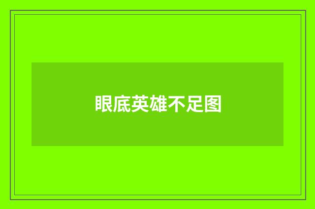 眼底英雄不足图