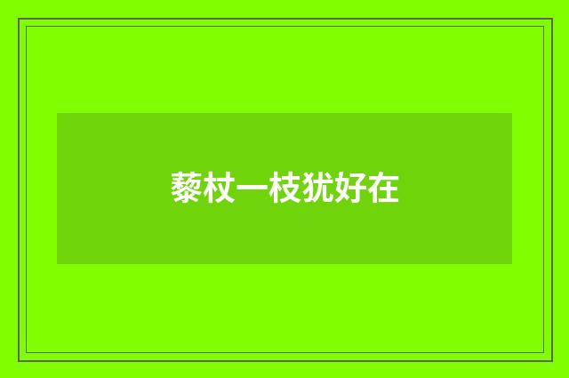 藜杖一枝犹好在