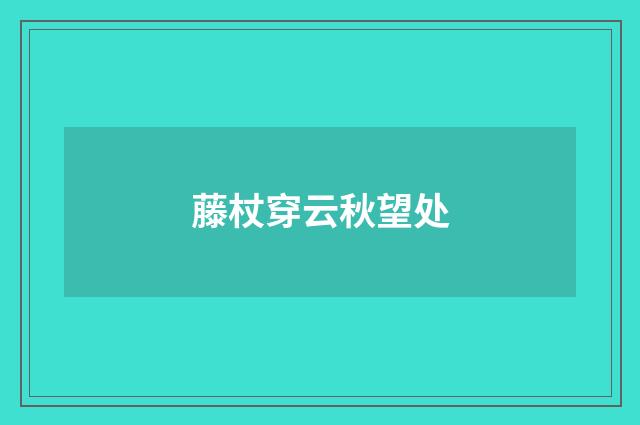 藤杖穿云秋望处