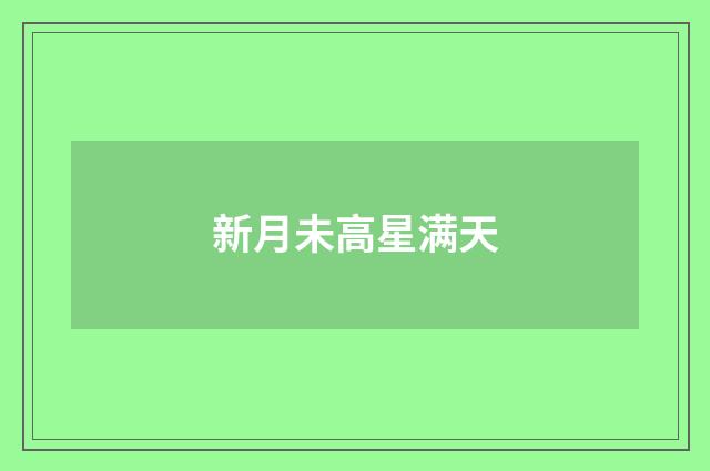 新月未高星满天
