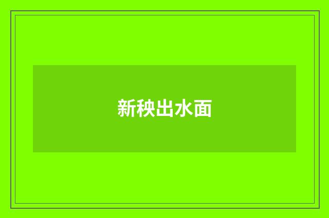 新秧出水面