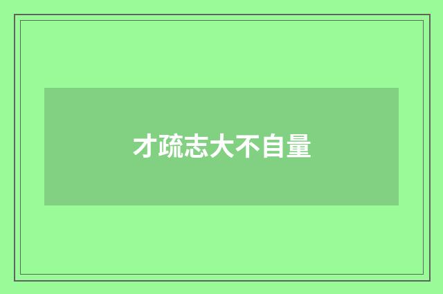 才疏志大不自量