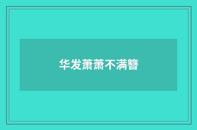 华发萧萧不满簪