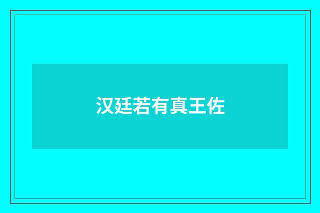 汉廷若有真王佐