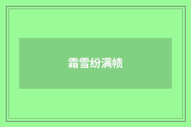 霜雪纷满帻