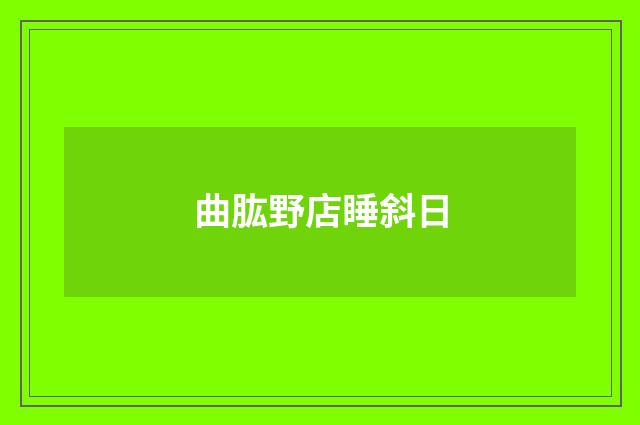 曲肱野店睡斜日