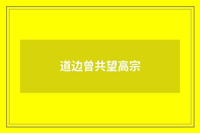 道边曾共望高宗